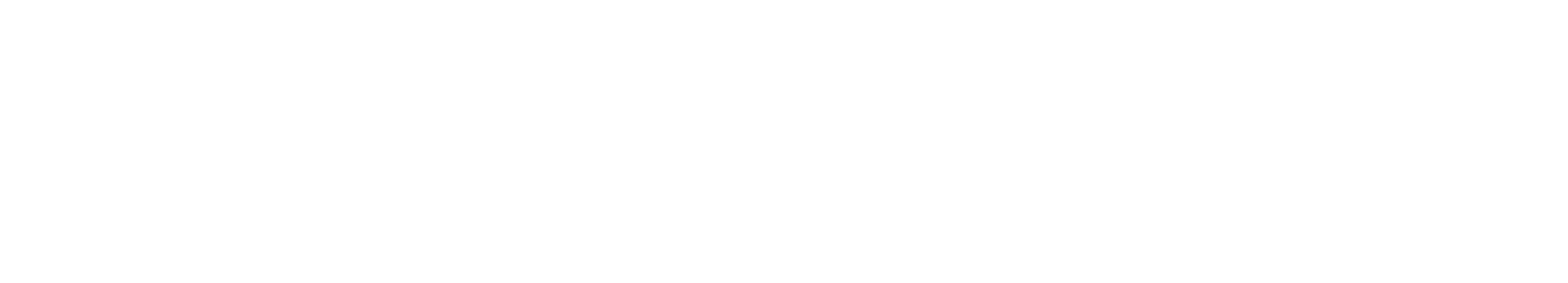 logo-spazzolplastica-white